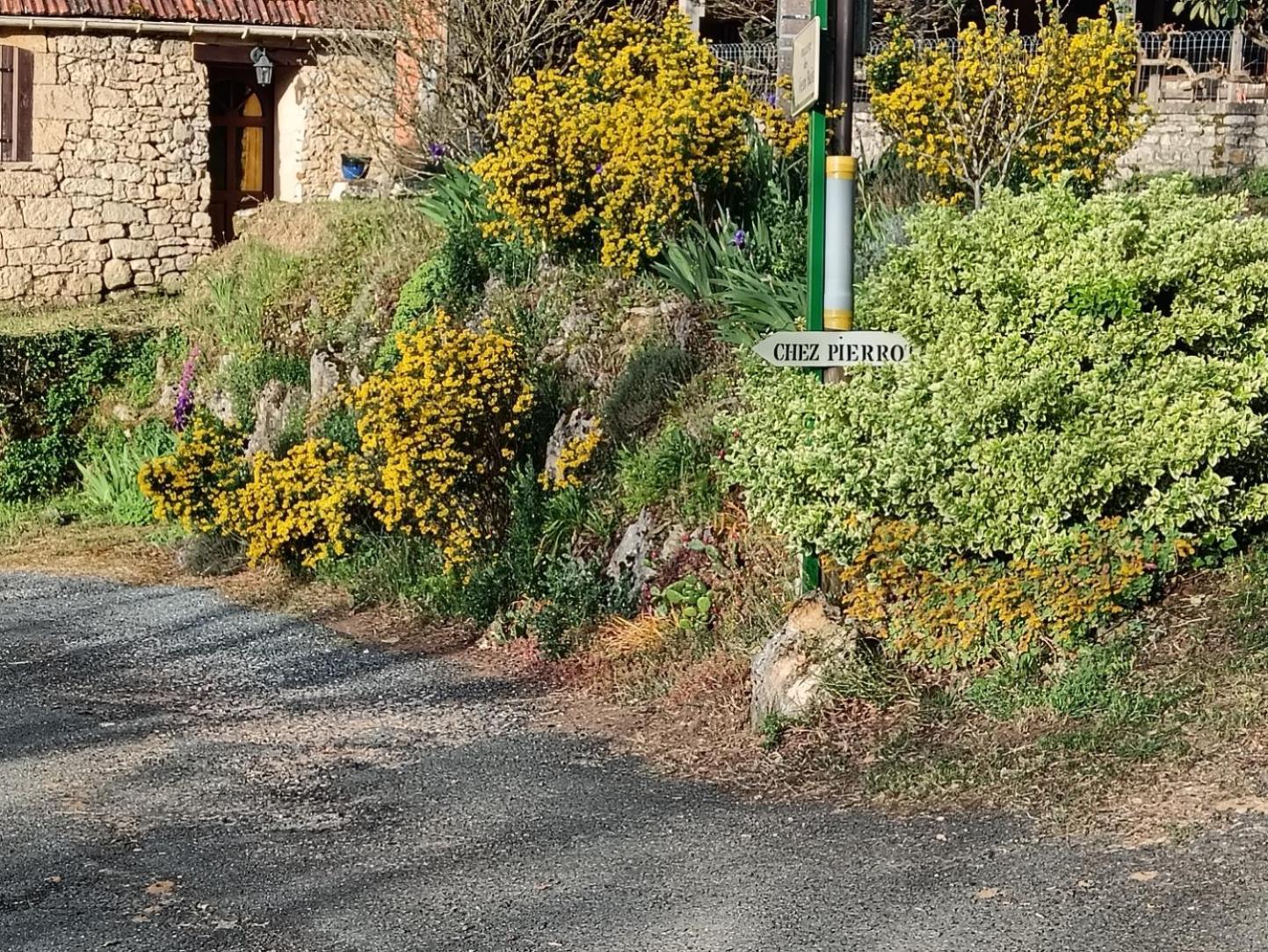 Gite Chez Pierrot - La Vallee Des Chateaux La Roque-Gageac Exteriér fotografie
